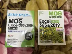 Item thumbnail for item ce575f6a-6aa5-4122-8e7b-5437c99100af