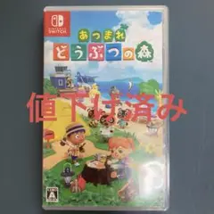 あつまれどうぶつの森　Switchソフト