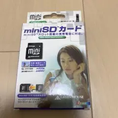 （新品）miniSD256MB miniSD → SDカード 変換アダプター付