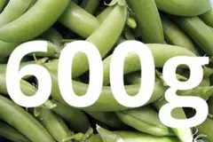 鹿児島産規格外スナップエンドウ600g