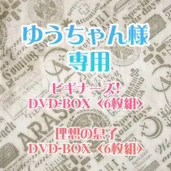 理想の息子 ビギナーズ! DVD-BOX〈6枚組〉セット