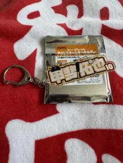 ジャイアンツ 甲斐拓也 アクリルネームキーホルダー　シークレット
