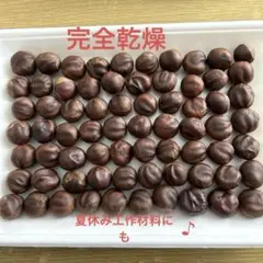 とちの実 約2㎝前後 70個 （完全乾燥）小さめ　no.29