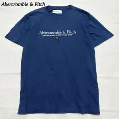 アバクロ Abercrombie & Fitch メンズ Tシャツ L 刺繍ロゴ