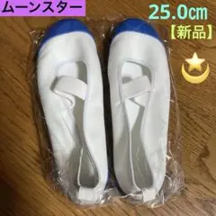 新品　ムーンスター　上靴　ブルー　25.0㎝