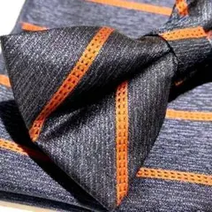 Item thumbnail for item 07b2d805-6891-45af-8cc3-2643cfccf0e7