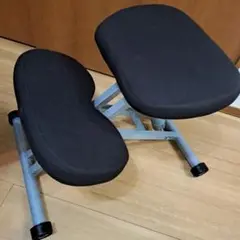サンワサプライ バランスチェア 100-SNC038