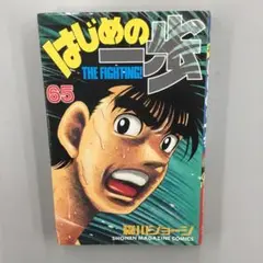 No.34867 はじめの一歩 65