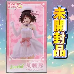 2025年最新】冴えない彼女の育てかた Fine Coreful フィギュア