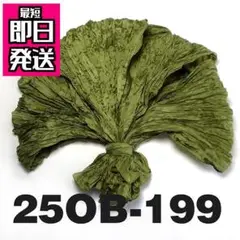 Item thumbnail for item 912d2c52-20c6-4e11-8c32-073b41b35271