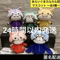 あらいぐま カルカル団 マスコット 全5種 セット 全種類 コンプ
