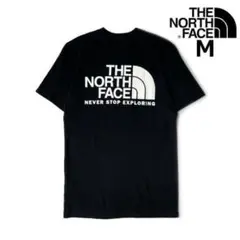 ノースフェイス Tシャツ US限定 バックプリント(M)黒 180902