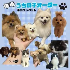 手のひらペット　うちの子オーダー　羊毛フェルト　k-wool. ペット