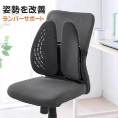 ランバーサポート シートクッション 腰枕 背もたれ メッシュカバー 姿勢矯正