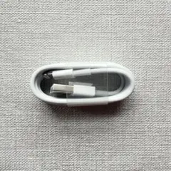 未使用品 Apple純正 USB-A Lightningケーブル iPhone