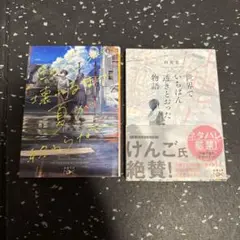 この恋が壊れるまで夏が終わらない　杉井光　2冊セット
