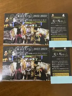 大井競馬場 イルミネーション 招待券2枚 東京メガイルミ 2022-2023