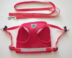 Item thumbnail for item d83238b3-4857-42cc-a9bf-3d38bbe5ba98