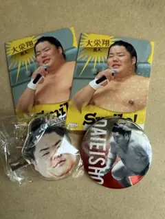 大相撲　大栄翔　カード2種　ヘアクリップ　バッジ　セット