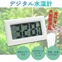 デジタル水温計/白 アクアリウム 熱帯魚 めだか 金魚 水槽 ザリガニ