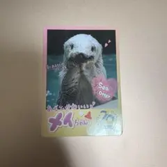 鳥羽水族館 コレクションカード メイ