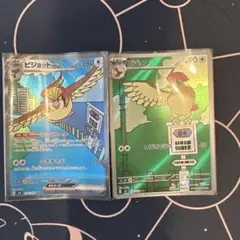 ピジョットex SAR/ピジョン AR セット