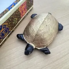 Item thumbnail for item 2c7e774e-8e68-4f7d-95a3-27ba0cf681ab