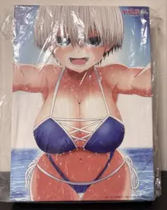 宇崎花 丈描き下ろし特製A4キャンバスボックス 宇崎ちゃんは遊びたい! ω 特典