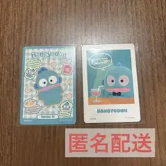 サンリオコレクターズカードプラス プロフィールをたのしむ ハンギョドン 2枚