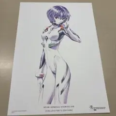 愛蔵版　全巻　購入特典　新世紀エヴァンゲリオン　複製原画　綾波レイ　貞本義行