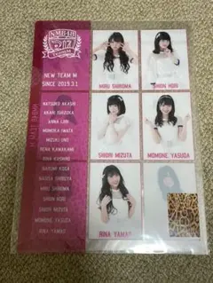 NMB48 チームM クリアファイル