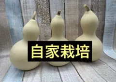 Item thumbnail for item cdf45fad-f2f8-46b7-86c2-d372317b2f69