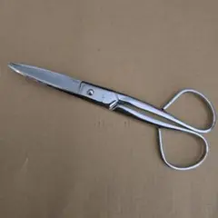 Item thumbnail for item 97d900f5-05d8-4639-98c4-36a5964a766c