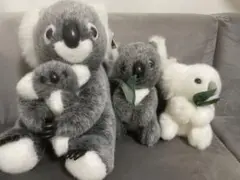 コアラのぬいぐるみ3体セット　オーストラリア