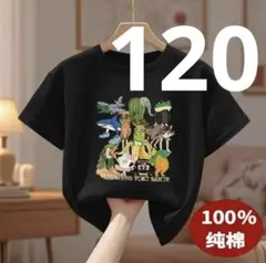 イタリアンブレインロット TシャツB 120cm 綿100% トゥントゥントゥン