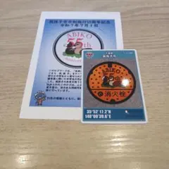 初期ロット★第26弾★千葉県我孫子市★市制施行55周年記念★マンホールカード