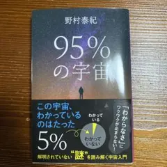 95%の宇宙 野村泰紀