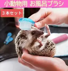 Item thumbnail for item 2cd7e38e-ef60-425e-8fc4-5c669e2d7844