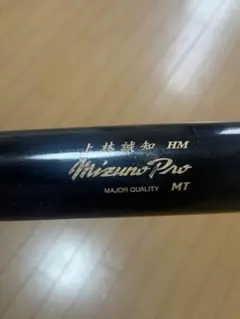 Item thumbnail for item fa239aba-91fe-4815-9a39-bd825c80f709