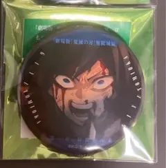 鬼滅の刃 無限城編 ものがたる眼差しコレクション缶バッジA 冨岡義勇
