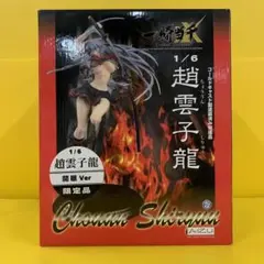 TFC 一騎当千GG 趙雲子龍 下着Ver. (1/8スケールPVC塗装済み完成品) wyw801m 一騎当千 GG 趙雲子龍 水着Ver. -Black- 完成品フィギュア