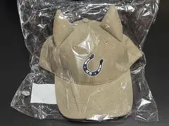 Item thumbnail for item d773edf0-97ef-410f-a36b-3eb5dcbca116