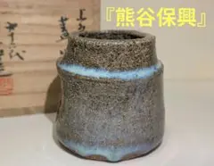 16代熊谷保興造　上野焼緑釉草花文　壺　共箱　名工　幅15㎝　東里6-0822④ 16代熊谷保興造 上野焼緑釉草花文 壺 共箱 名工 幅15㎝ 東里6