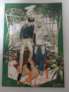 【美品】泉月と聡一イラストアンソロジー「箱庭」