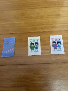 ガールスカウト　薄型　ワッペン