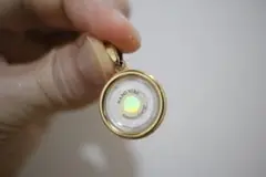 Item thumbnail for item 8a83e05f-7605-4337-acbd-e4bc92a6bbc9