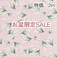 ラスト お盆限定SALE 2m スズラン ピンク オックス