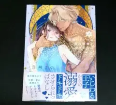 TL コミックス　箱庭プリンスは純白庭師を射止めたい　上　宮崎うの