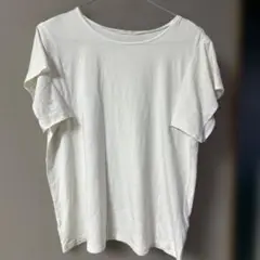 Item thumbnail for item 5cbacd43-711b-4647-a16d-3c7192ec11b4