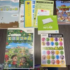 街へ行こうよどうぶつの森　どうぶつの森　wii ゲームキューブ　送料無料